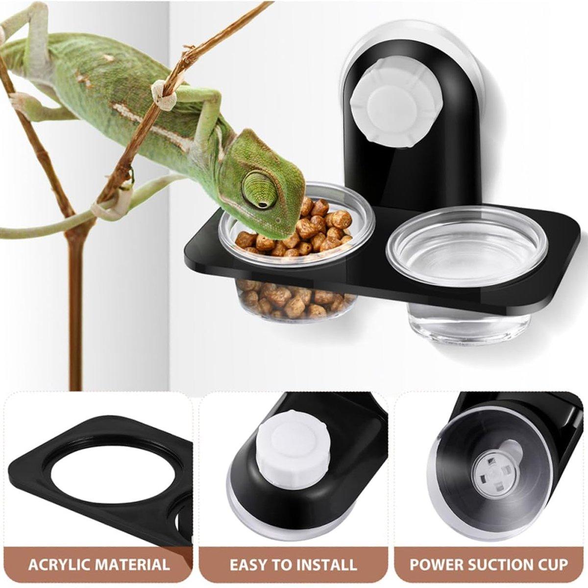 Dual Reptile Food and Water Bowl Versatile Feeding Solution for Small Pets