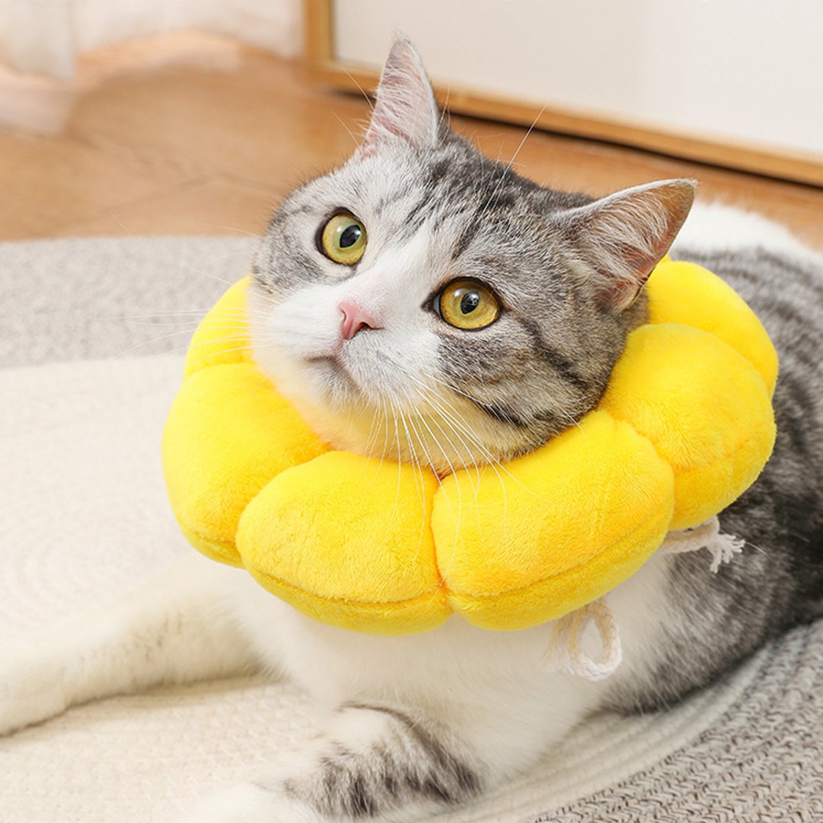 Sunflower Elizabeth Collar for Cats and Dogs