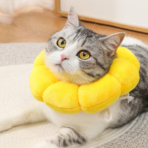 Sunflower Cat Elizabethan Collar Soft Recovery Cone for Cats