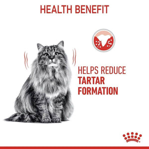 Royal Canin Dental Care Adult Dry Cat Food 400g/1.5kg/3.5kg