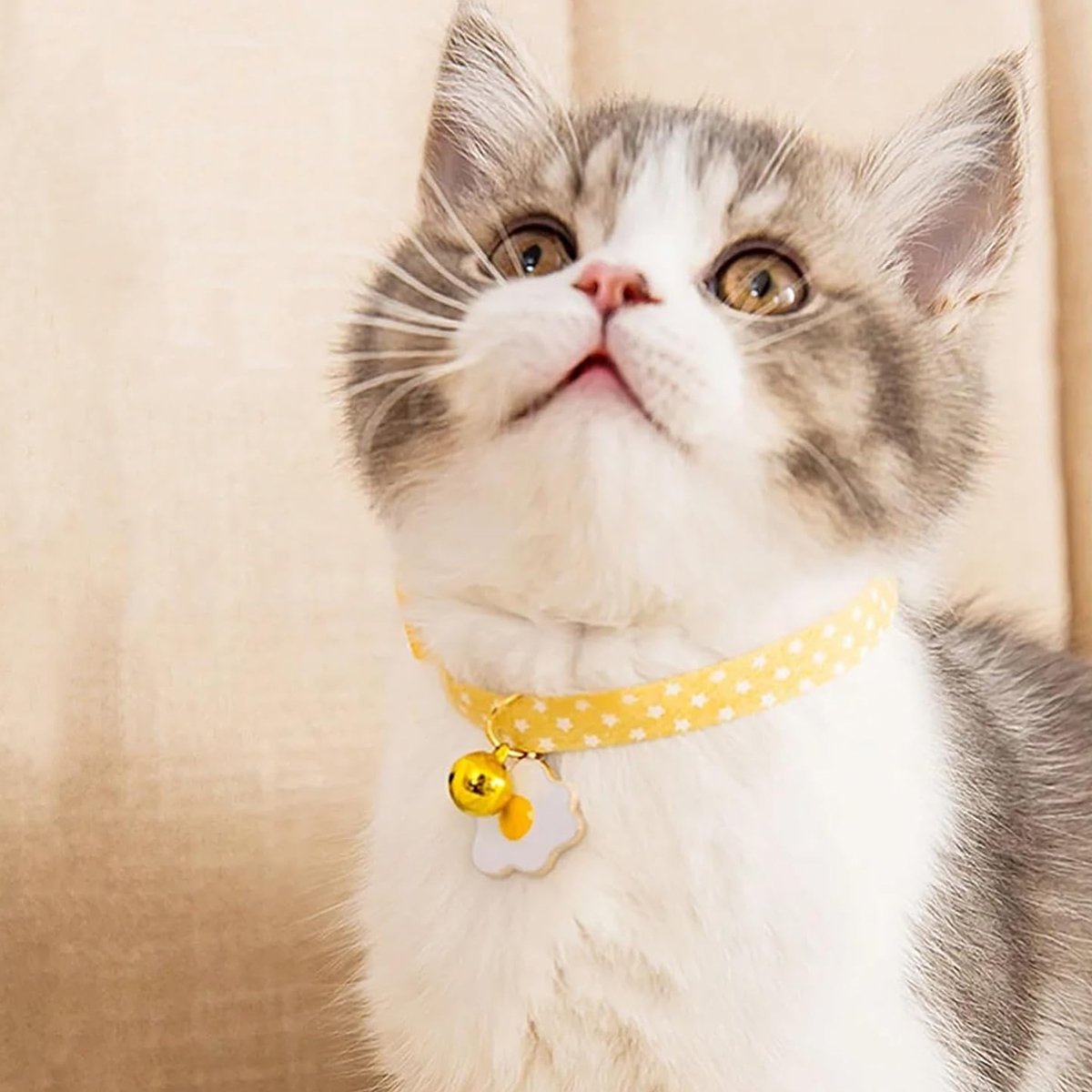 Adjustable Pet Collar with Safety Buckle Bell for Kitten and Dog Necklace