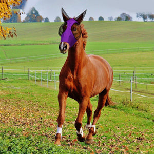 Horse Mask Horse Flying Mask Horse Anti Mosquito Mask Horse Face Mask Horse Hat