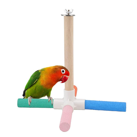 Colourful Parrot Toy Bird Stand for Claw Grinding and Play