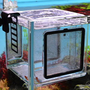 Acrylic Fish Breeding Box Isolation and Fry Protection