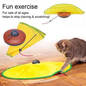 Interactive Cat Toy Electronic Kitten Teaser Puzzle Game