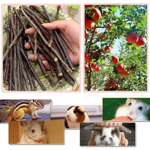 Natural Pet Chew Sticks - 100g Apple Branches and Sweet Bamboo