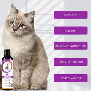 Lavender Bliss Pet Shampoo & Conditioner for Dogs and Cats