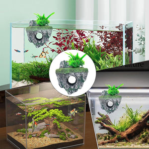 Aquarium Rocks for Beautiful Aquascapes