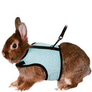 Small Animal Harness Guinea Pig Forret Hamster Rabbit Squirrel Vest Clothes Lead