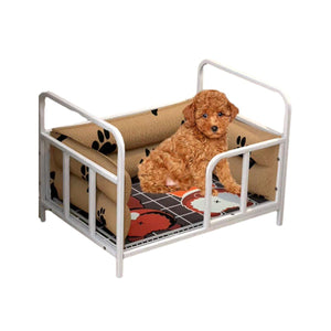 Elevated Dog Bed for All Seasons Moisture-Proof & Breathable Design