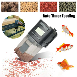 Automatic Fish Feeder Intelligent Control