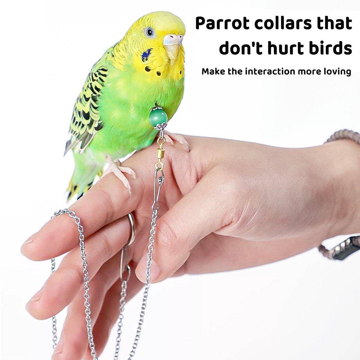 Adjustable Parrot Collar with Opal Necklace and Stainless Steel Chain