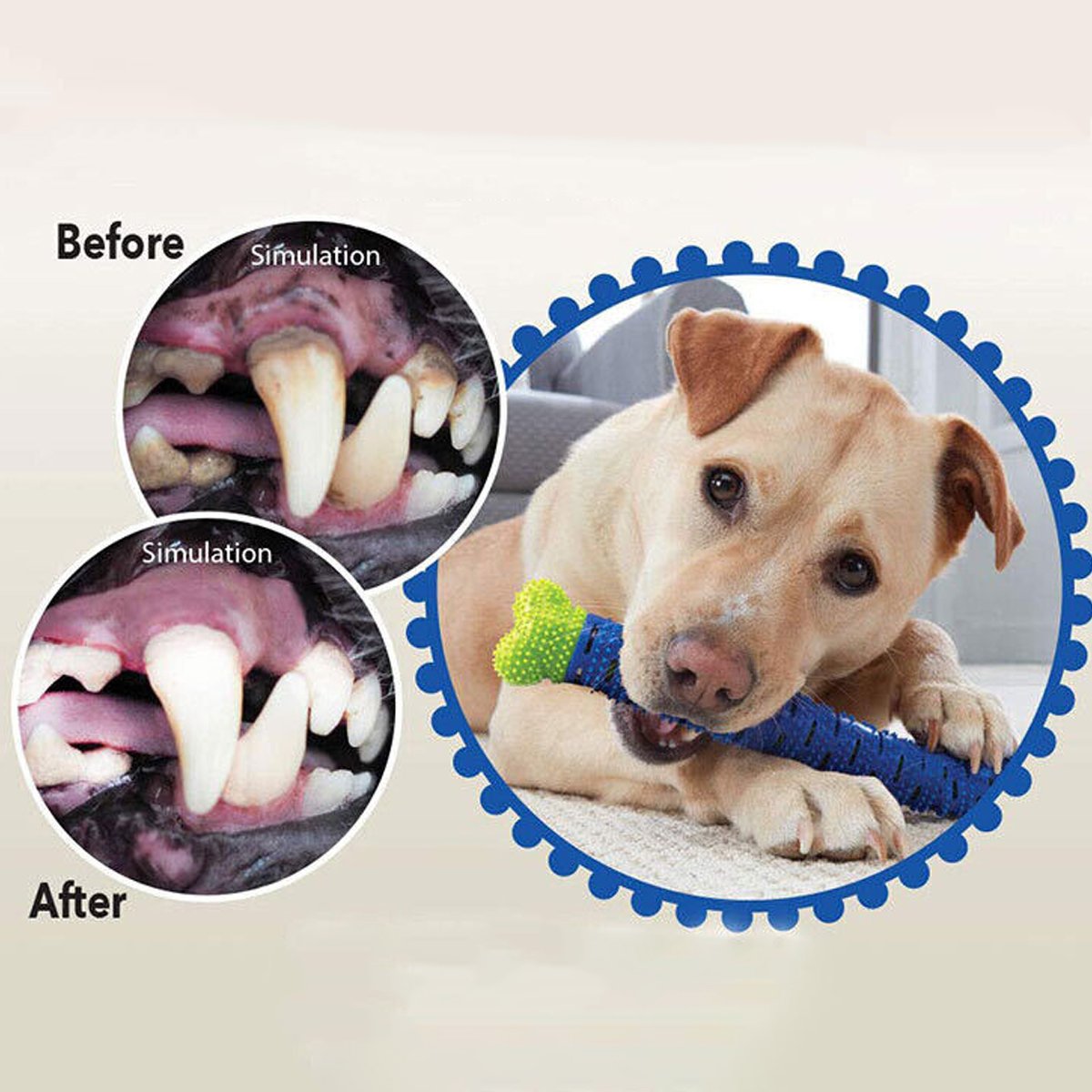 Pet Chew Toy Detachable Bone Dog Teeth Cleaning Training Toothbrush Simulation