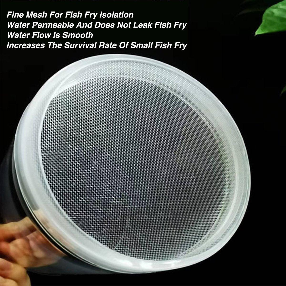 Floating Fluval Fish Breeding Box Safe Isolation for Fry and Mother Fish