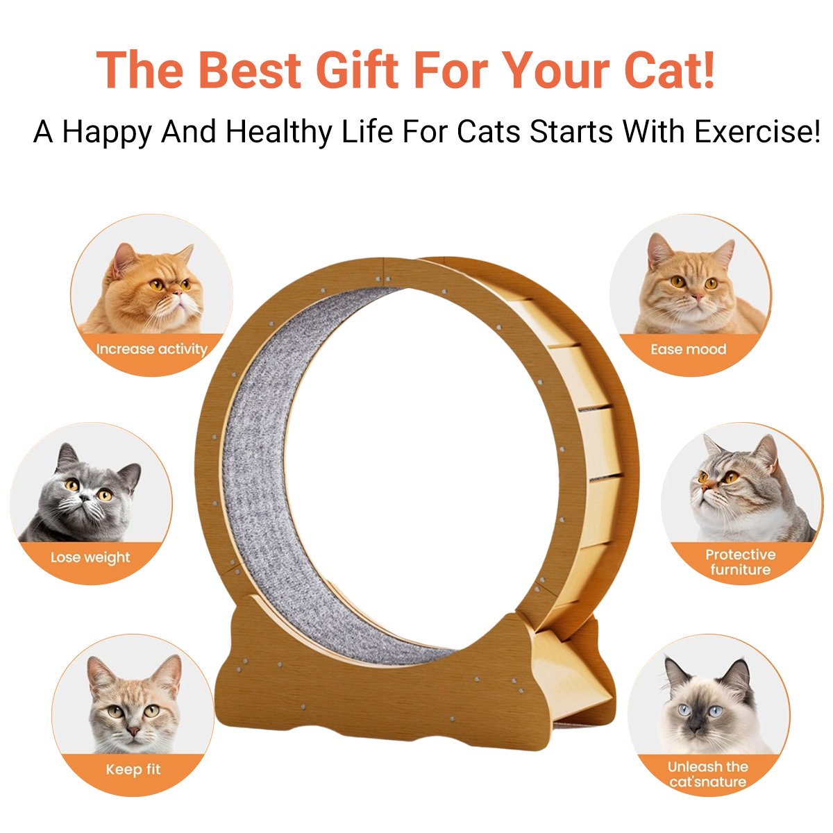 Cat Running Wheel for Indoor Exercise Silent and Safe Cat Treadmill