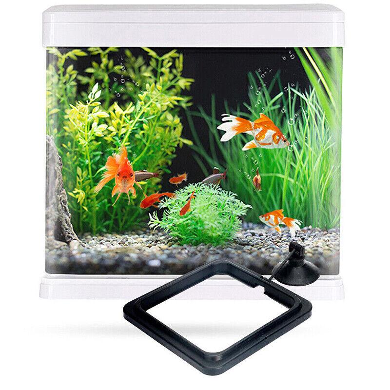 Fish Feeding Ring Aquarium Fish Tank Feeder Floating Fish Food Feeder