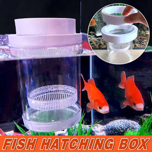 Floating Fluval Fish Breeding Box with fine and coarse mesh for fry and mother fish isolation in aquariums.