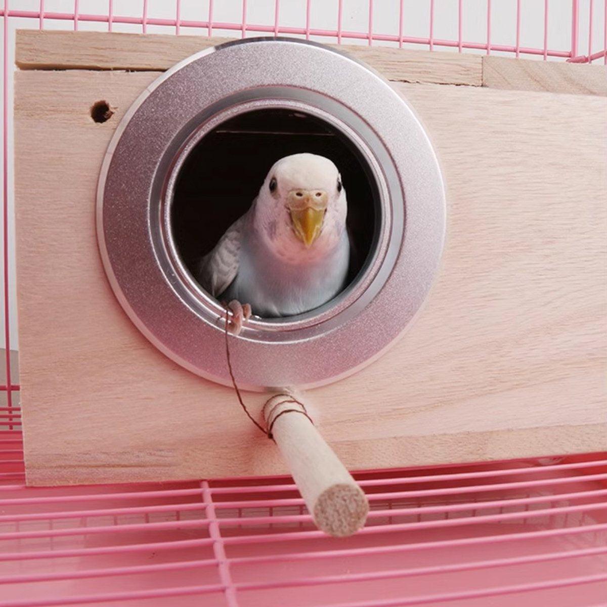 Wooden Bird Breeding Nest Box Bird House