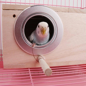 Wooden Bird Breeding Nest Box Bird House