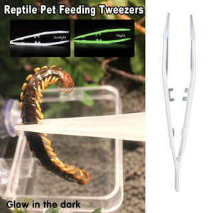 Luminous Tweezers 18cm Straight Feeding Tool For Reptile Tortoise Lizard Frog Spider