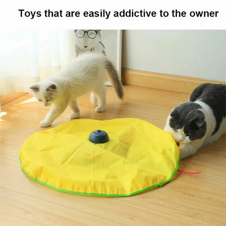 Interactive Cat Toy with Moving Mouse for Engaging Play