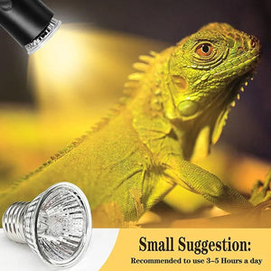 3PCS Reptile Heating Light Bulb UVA+UVB Tortoise Turtle Lizard UV Basking Lamp