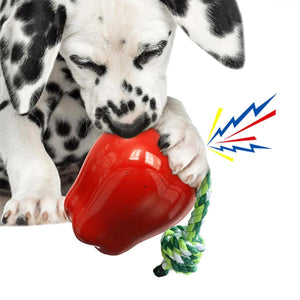 Red Apple Dog Chew Toy with Rope for Play and Dental Health