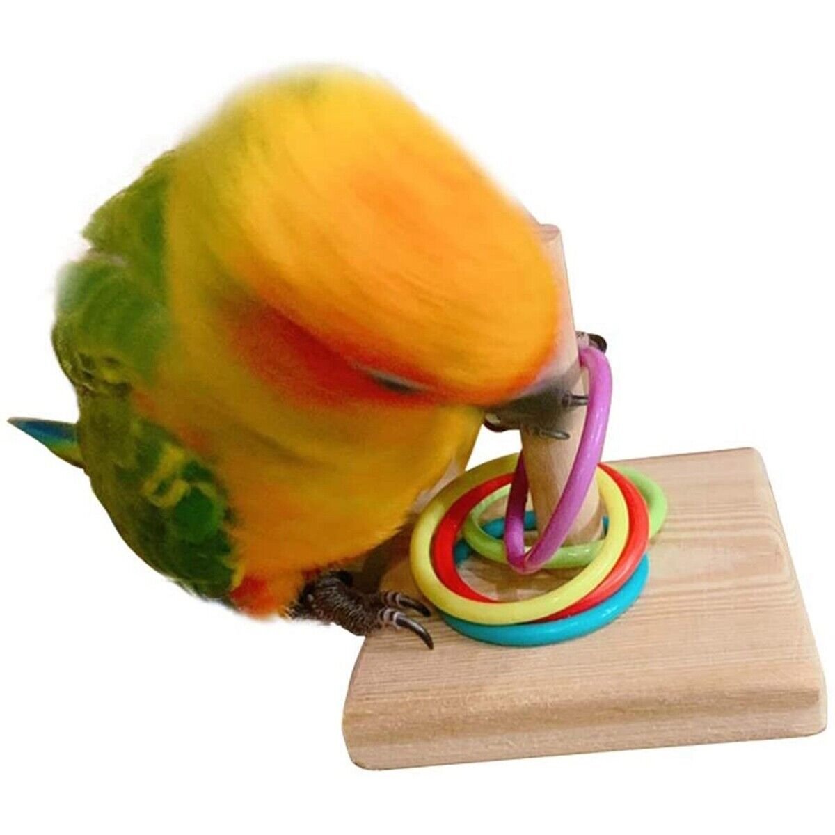 Parrot Chew Toys Interactive Bird Training Rings Set Pet Bird Intelligence Toys