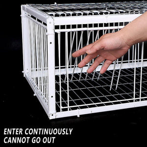 Premium Pigeon Cage with Secure Encrypted Spacing