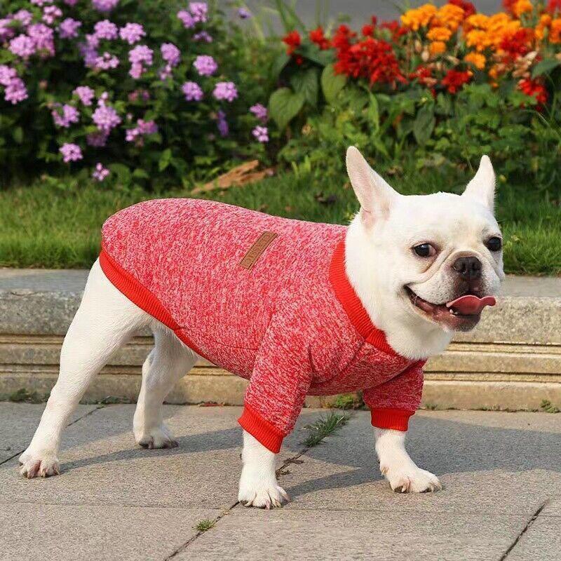 Cute Pet Dog Winter Sweater Warm Knitwear for Puppy and Cat Coat