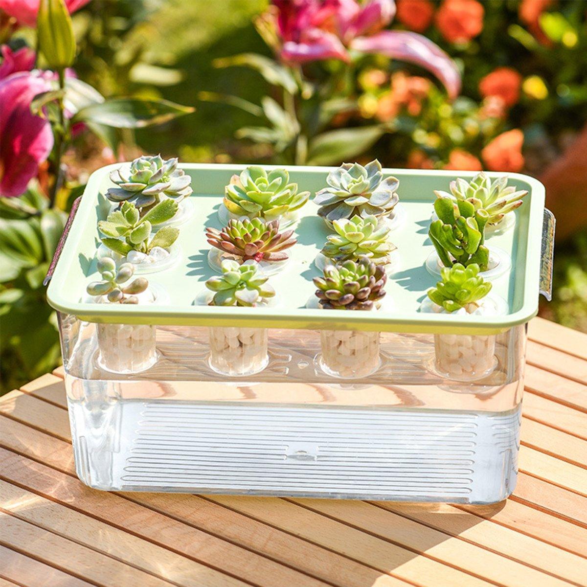 Transparent Rectangular Aquarium 12Hole Lid Portable Hydroponic Plant Fish Tank