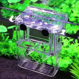 Transparent Guppy Breeding Box for Aquarium Fish Breeding and Isolation