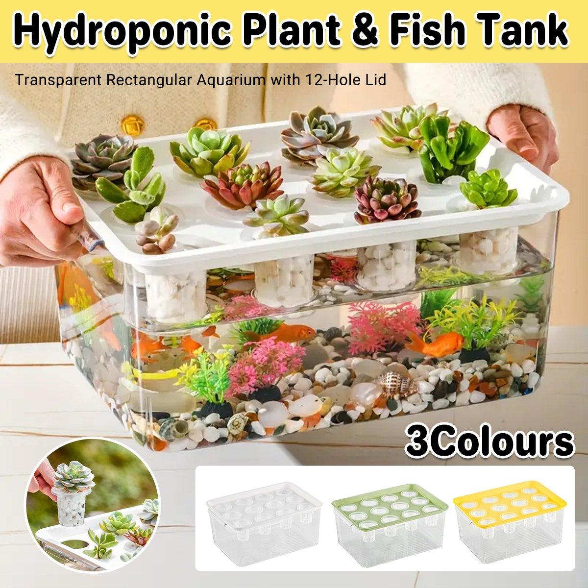 Transparent Rectangular Aquarium 12Hole Lid Portable Hydroponic Plant Fish Tank