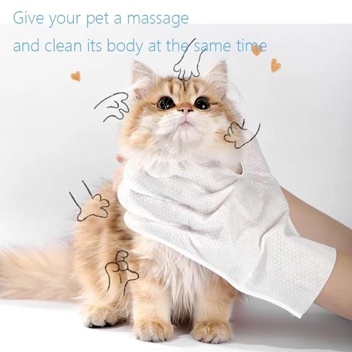 Cat Dog Cleaning Gloves Wipes Fur Disposable Glove Wipes Face Washing Grooming