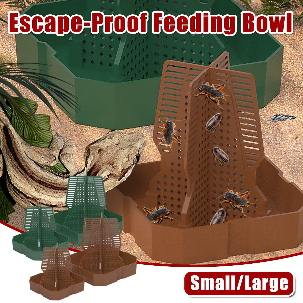 Reptile Feeding Basin with Anti-Escape Design