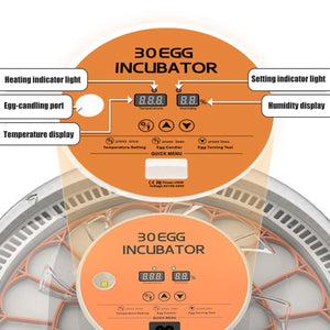 Intelligent New Incubator 30 Automatic Egg Incubator