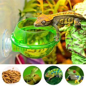 Suction Cup Reptile Feeder Bowl Anti-Escape Feeding Dish for Small Reptiles