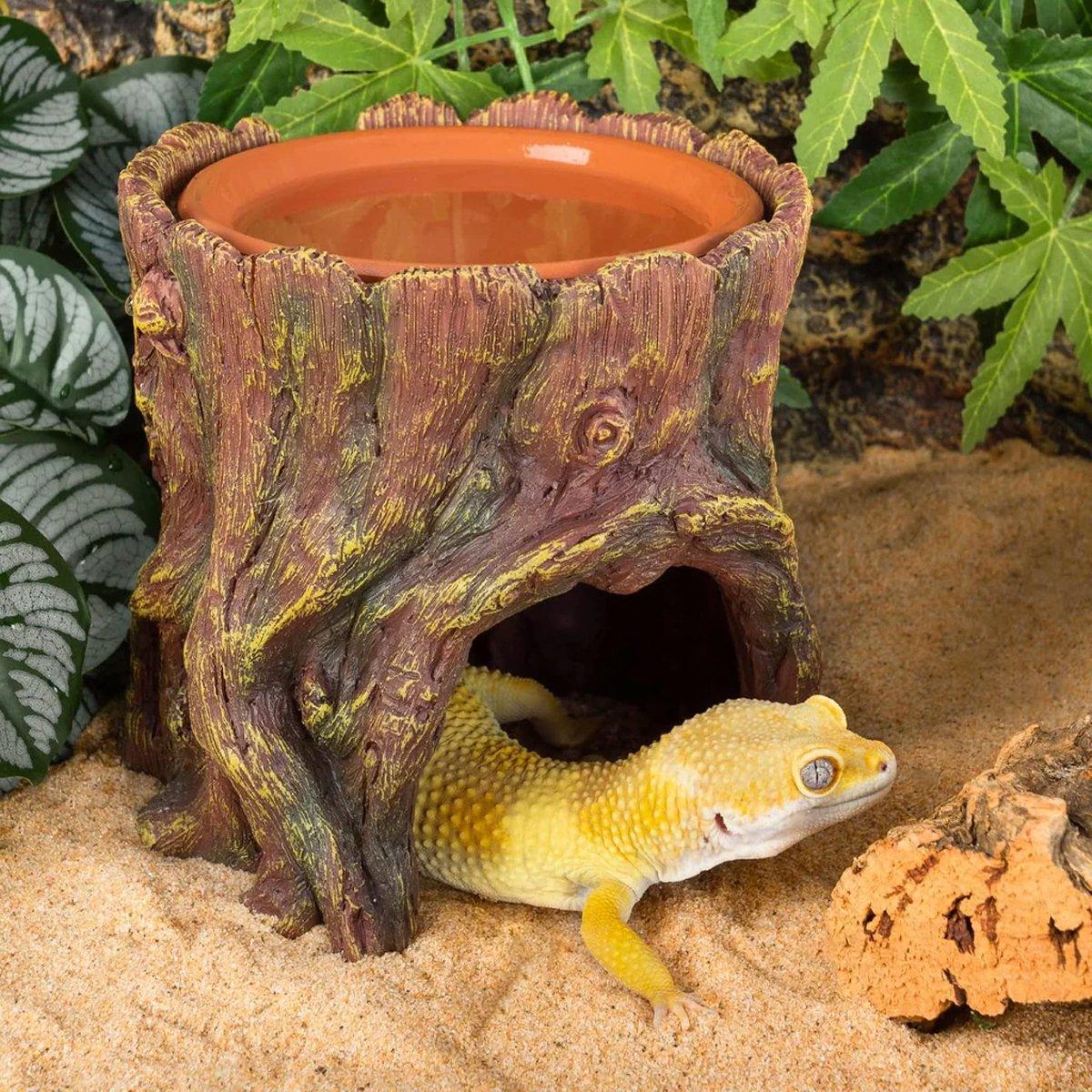 Reptile Hideaway Cave with Humidity Dish for Geckos & Small Reptiles