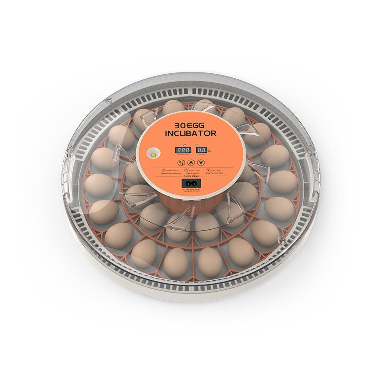 Intelligent New Incubator 30 Automatic Egg Incubator