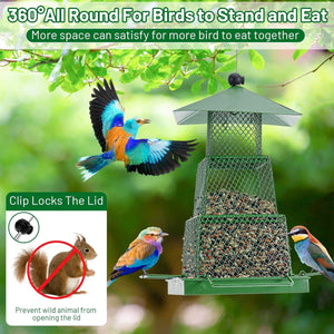 Durable Hanging Bird Feeder with Locking Lid & 360° Perch