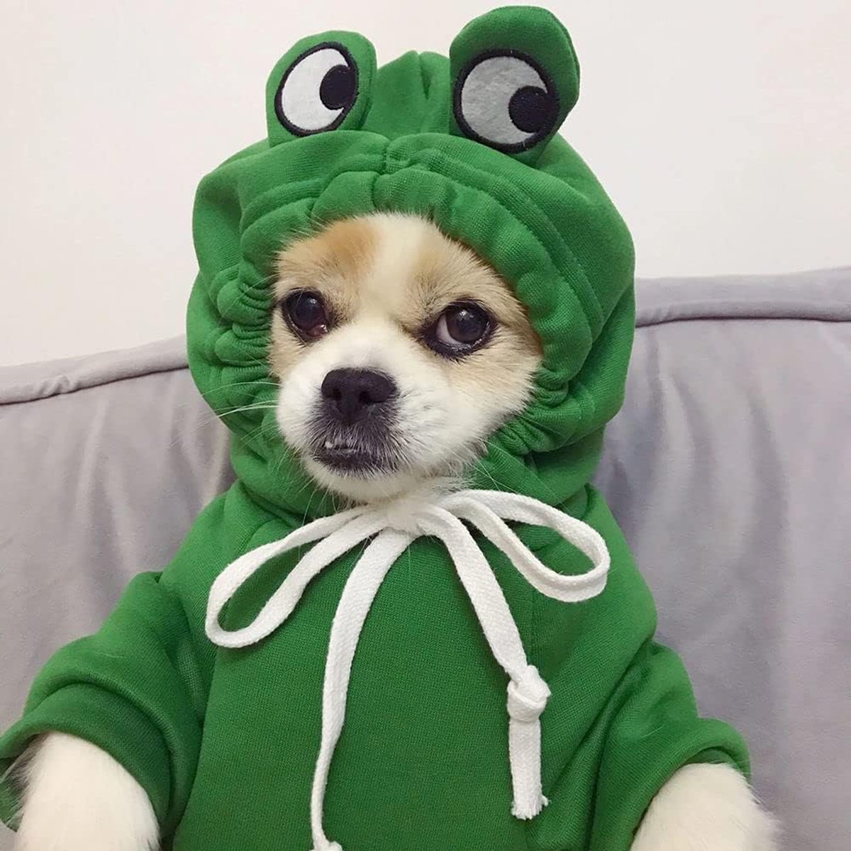 Adorable Cartoon Frog Hooded Vest