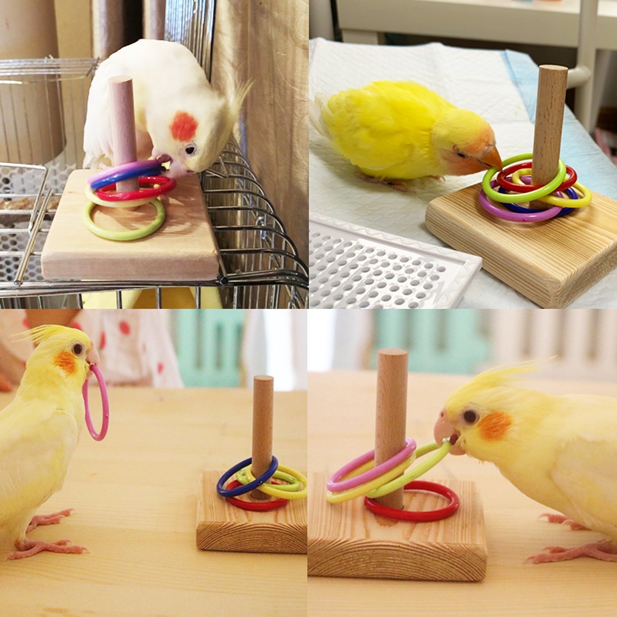 Parrot Chew Toys Interactive Bird Training Rings Set Pet Bird Intelligence Toys