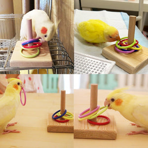 Parrot Chew Toys Interactive Bird Training Rings Set Pet Bird Intelligence Toys