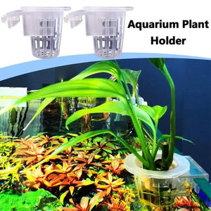 Adjustable Wall Mounted Aquatic Plant Cup for Emersed Plants and Water Grass