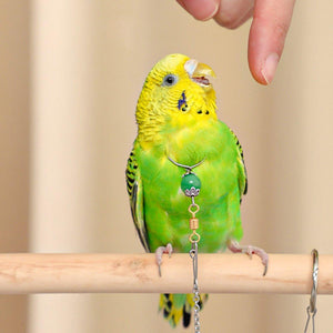 Adjustable Parrot Collar with Opal Necklace and Stainless Steel Chain