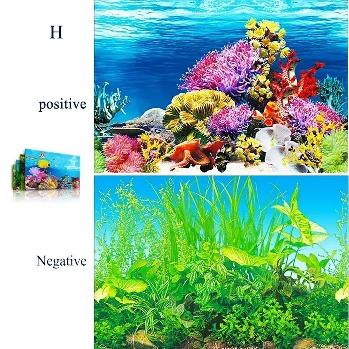 Double-Sided 3D Fish Tank Background Realistic PVC Aquarium Décor