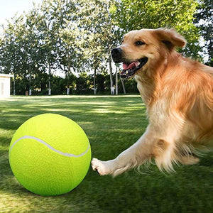 Dog Toy Tennis Ball Safe & Durable Fetch Ball for Small Dogs