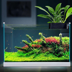 Aquarium Plant Cultivation Rack - Versatile Fish Tank Plant Holder