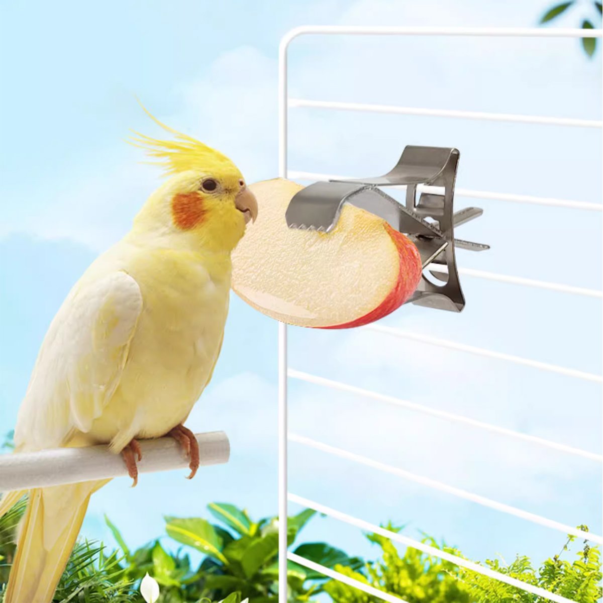 6X Fruit Pet Cage Accessories Bird Food Holders Clip Parrot Feeder Feeding Clamp