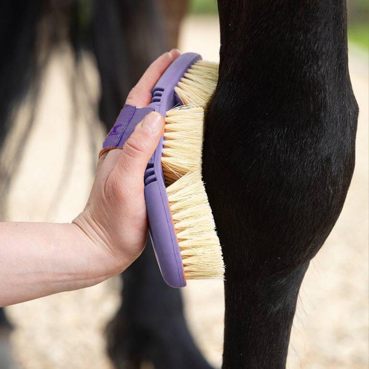 Oval Bendable Horse Grooming Brush for Cleaning Shedding Massage Care Supplies